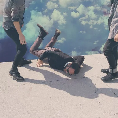 Local Natives - Hummingbird vinyl record cover