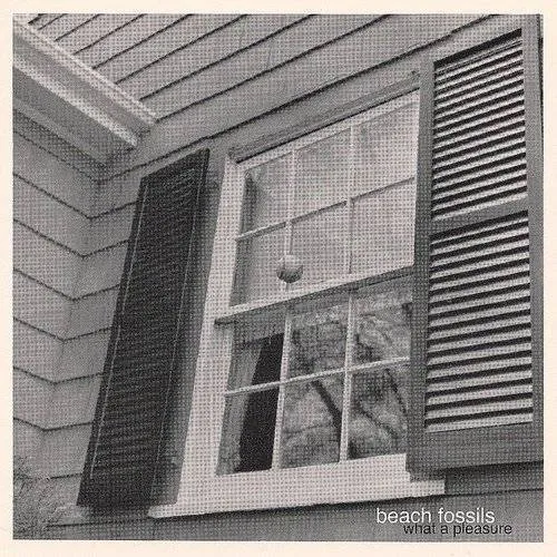 Beach Fossils - What A Pleasure