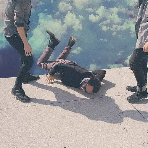 Local Natives - Hummingbird vinyl record cover