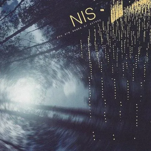 New Idea Society - You Are Awake or Asleep