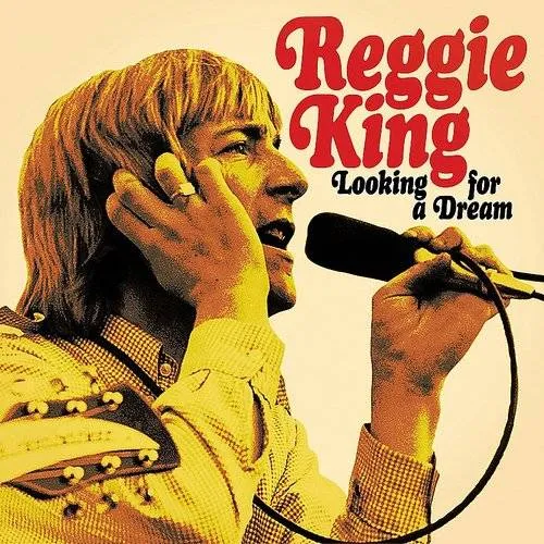Reg King - Looking for a Dream vinyl record cover