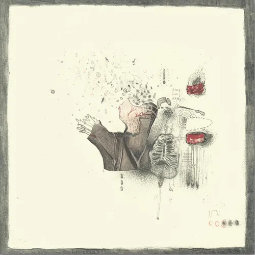 The Midnight Organ Fight: Special RSD Edition Reissue