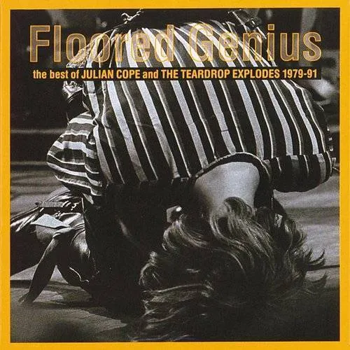 Floored Genius: Best Of 1979-91