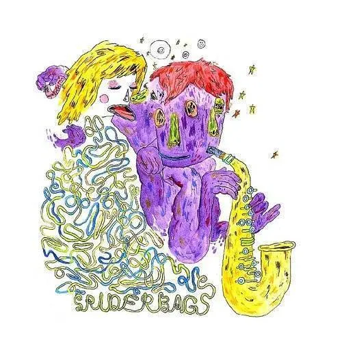 Spider Bags - Shake My Head vinyl record cover