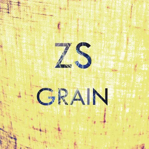 Zs - Grain vinyl record cover