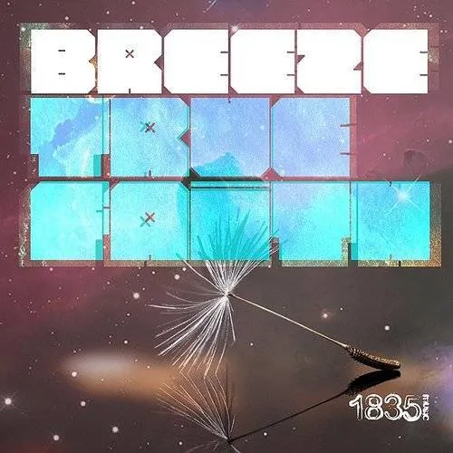 Breeze - True Faith (MR Fuzz Remix) vinyl record cover