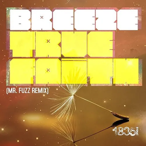 True Faith (MR Fuzz Remix)