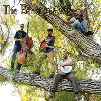 Barking Owls