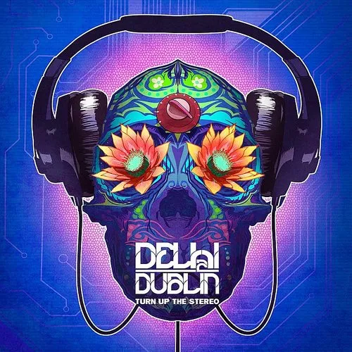 Delhi 2 Dublin - Turn Up The Stereo [Import]