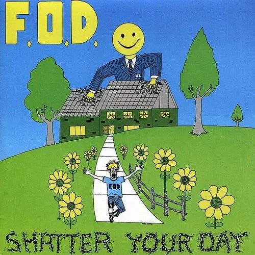 Flag Of Democracy - Shatter Your Day