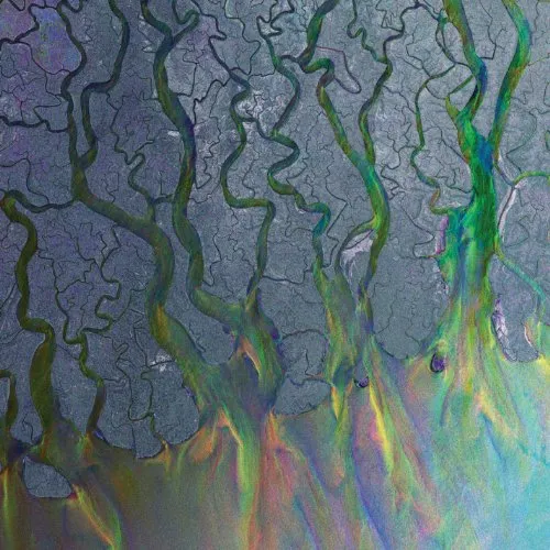 Alt-J - An Awesome Wave vinyl record cover