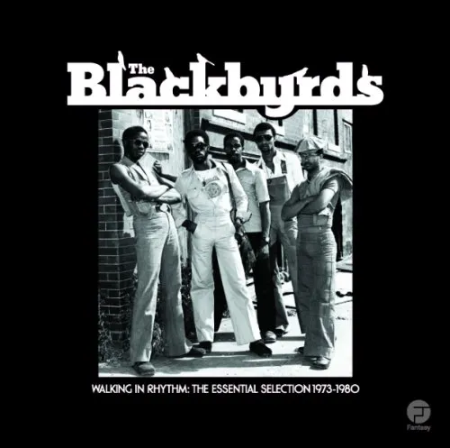 Walking in Rhythm: Essential Selection 1973 -1980