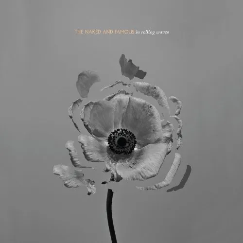 The Naked And Famous - In Rolling Waves vinyl record cover