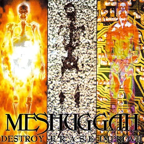 Meshuggah - Destroy Erase Improve