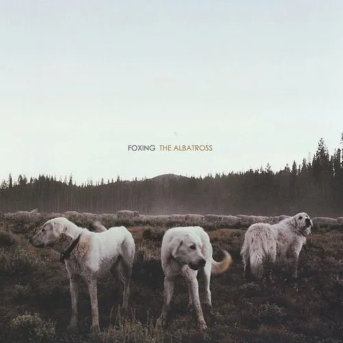 Foxing - The Albatross [Vinyl]
