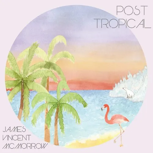 James Vincent McMorrow - Post Tropical vinyl record cover