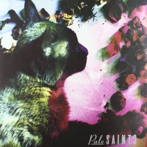 Pale Saints - Comforts Of Madness