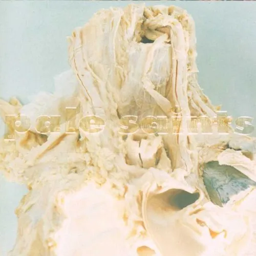 Pale Saints - In Ribbons