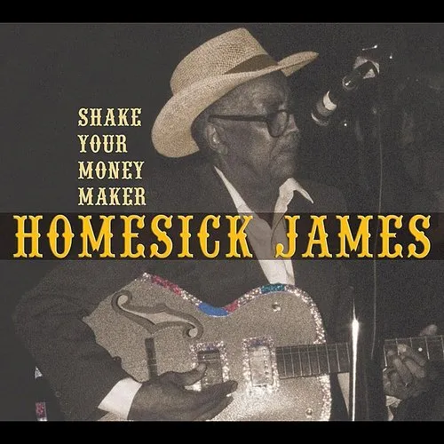 Shake Your Money Maker