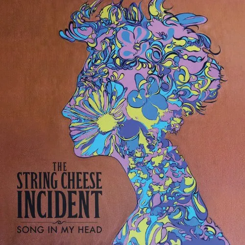 The String Cheese Incident - Song In My Head [Vinyl]