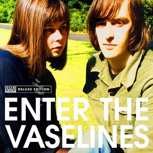 Vaselines - Enter The Vaselines vinyl record cover
