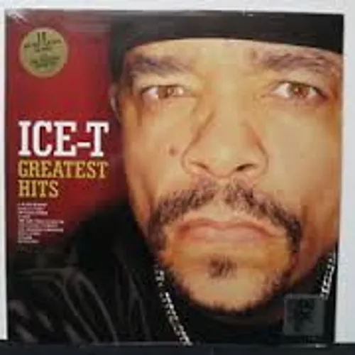 Ice T - Greatest Hits vinyl record cover