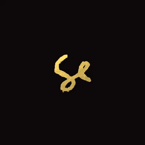 Sylvan Esso - Sylvan Esso vinyl record cover