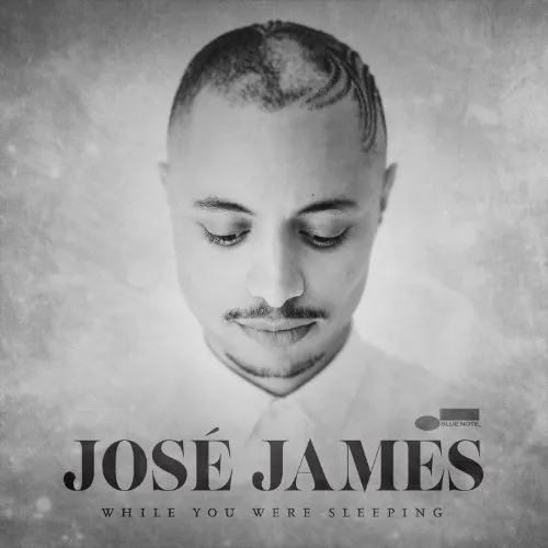 Jose James - While You Were Sleeping vinyl record cover