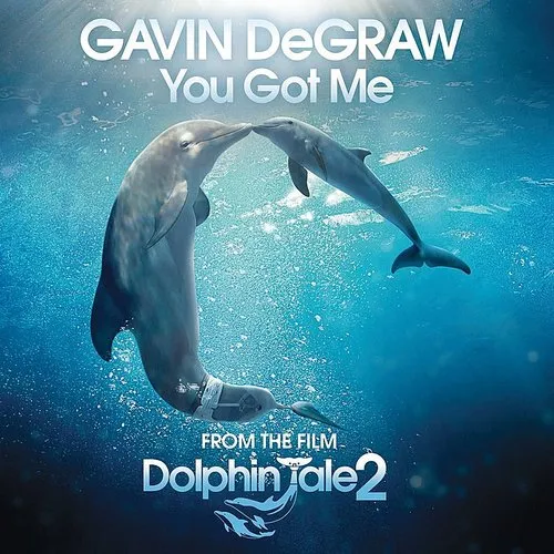 Gavin Degraw - You Got Me - Single