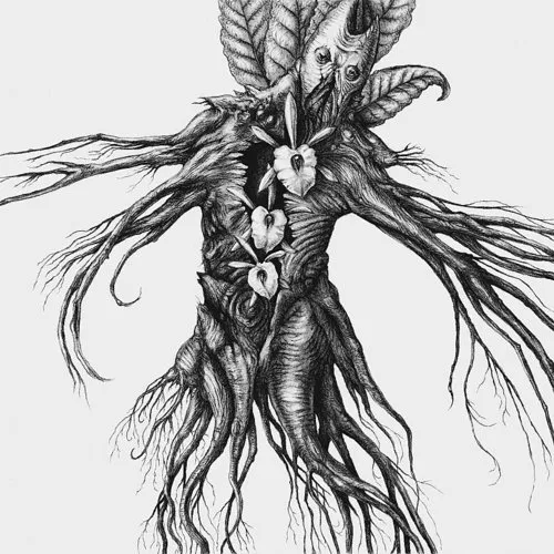 Botanist - Iv: Mandragora vinyl record cover