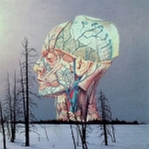 Low - Songs For A Dead Pilot EP vinyl record cover