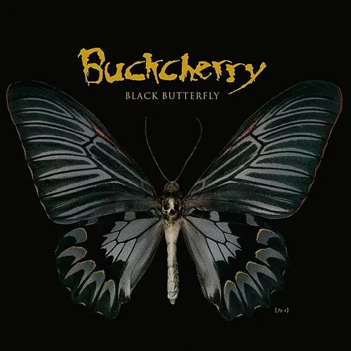 洋楽 butterfly the music of butterfly Butterfly 