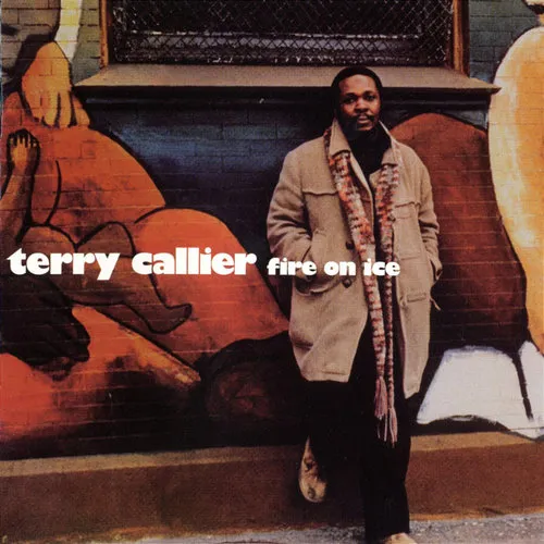 Terry Callier - Fire On Ice (Jpn) [Limited Edition] [Remastered]