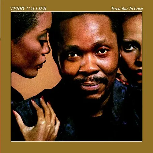Terry Callier - Turn You To Love [180 Gram]