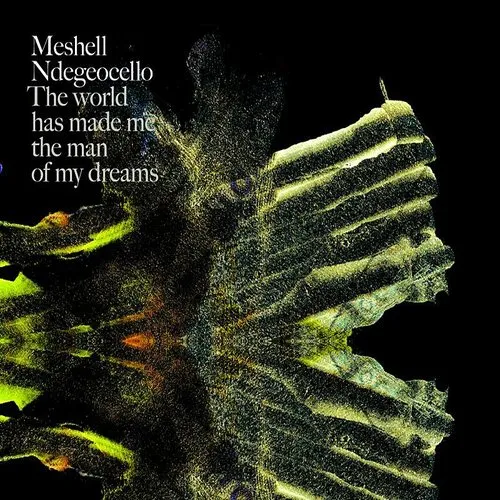 Me'Shell NdegéOcello - World Has Made Me The Man Of My Dreams
