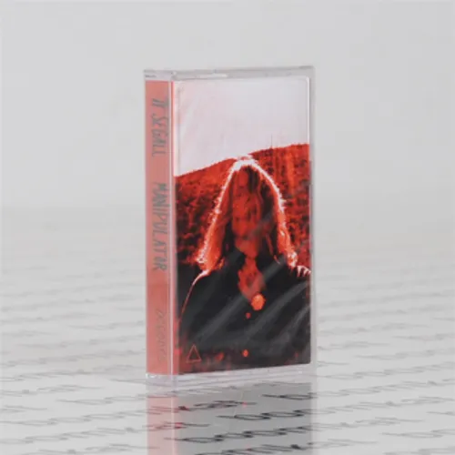 Ty Segall - Manipulator [Cassette]