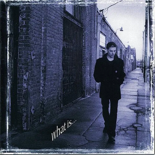 Richie Kotzen - What Is vinyl record cover