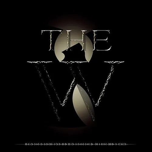 Wu-Tang Clan - w vinyl record cover