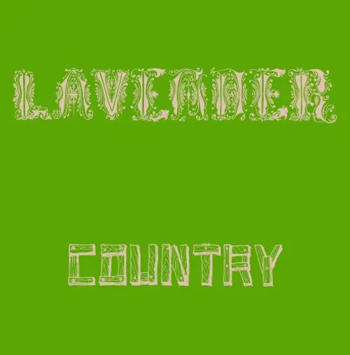 Lavender Country - Lavender Country vinyl record cover