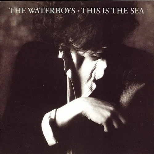 The Waterboys - This Is The Sea [Import]