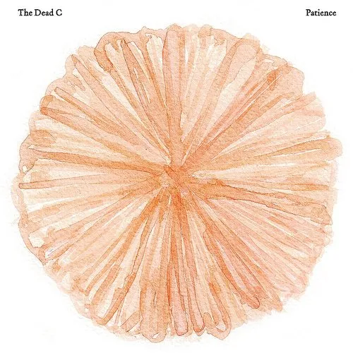 Dead C - Patience vinyl record cover