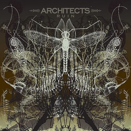 Architects - Ruin (Can)
