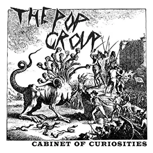 The Pop Group - Cabinet Of Curiosities vinyl record cover