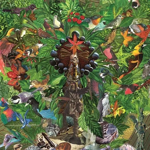 Plankton Wat - Drifter's Temple vinyl record cover