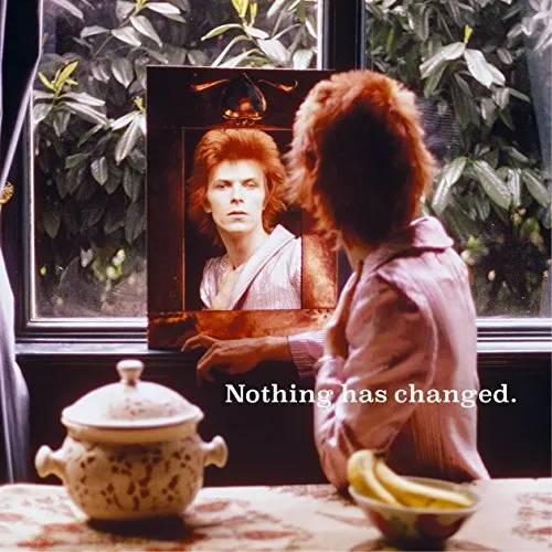 David Bowie - Nothing Has Changed vinyl record cover