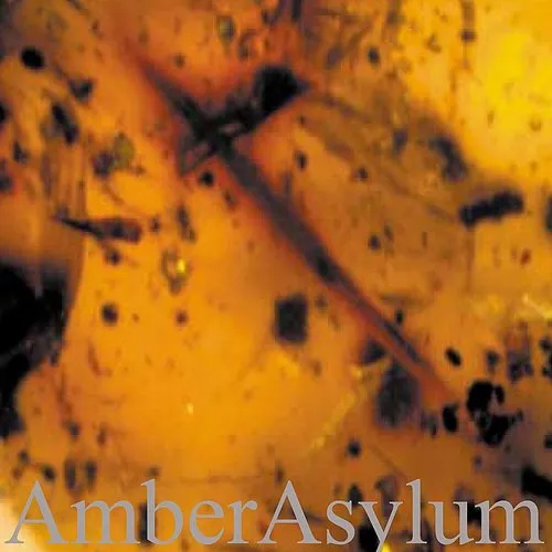 Amber Asylum - Frozen In Amber vinyl record cover
