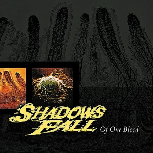 Shadows Fall - Of One Blood