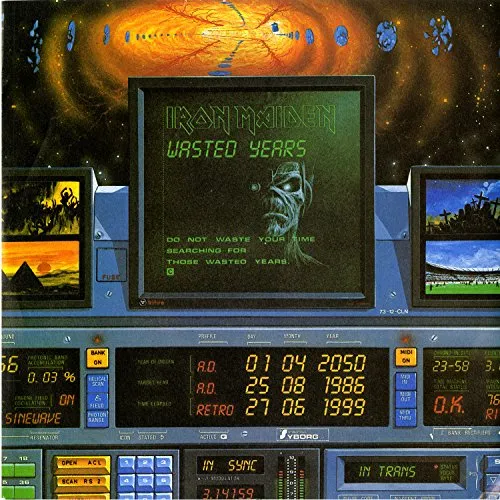 Wasted Years: Limited Edition 7 Inch