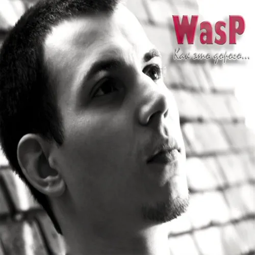 Wasp - As It Is Expensive