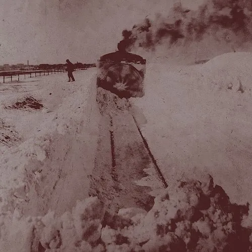Out Into the Snow